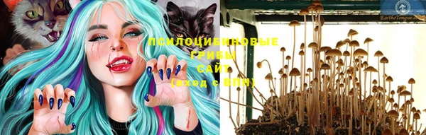 jwh Пролетарск